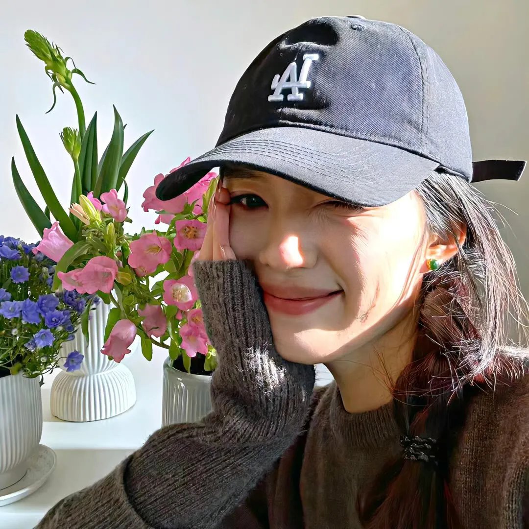 山茶花飘零